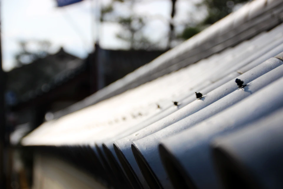 Scène extérieure montrant une toiture résidentielle avec gouttière blanche en PVC ou aluminium